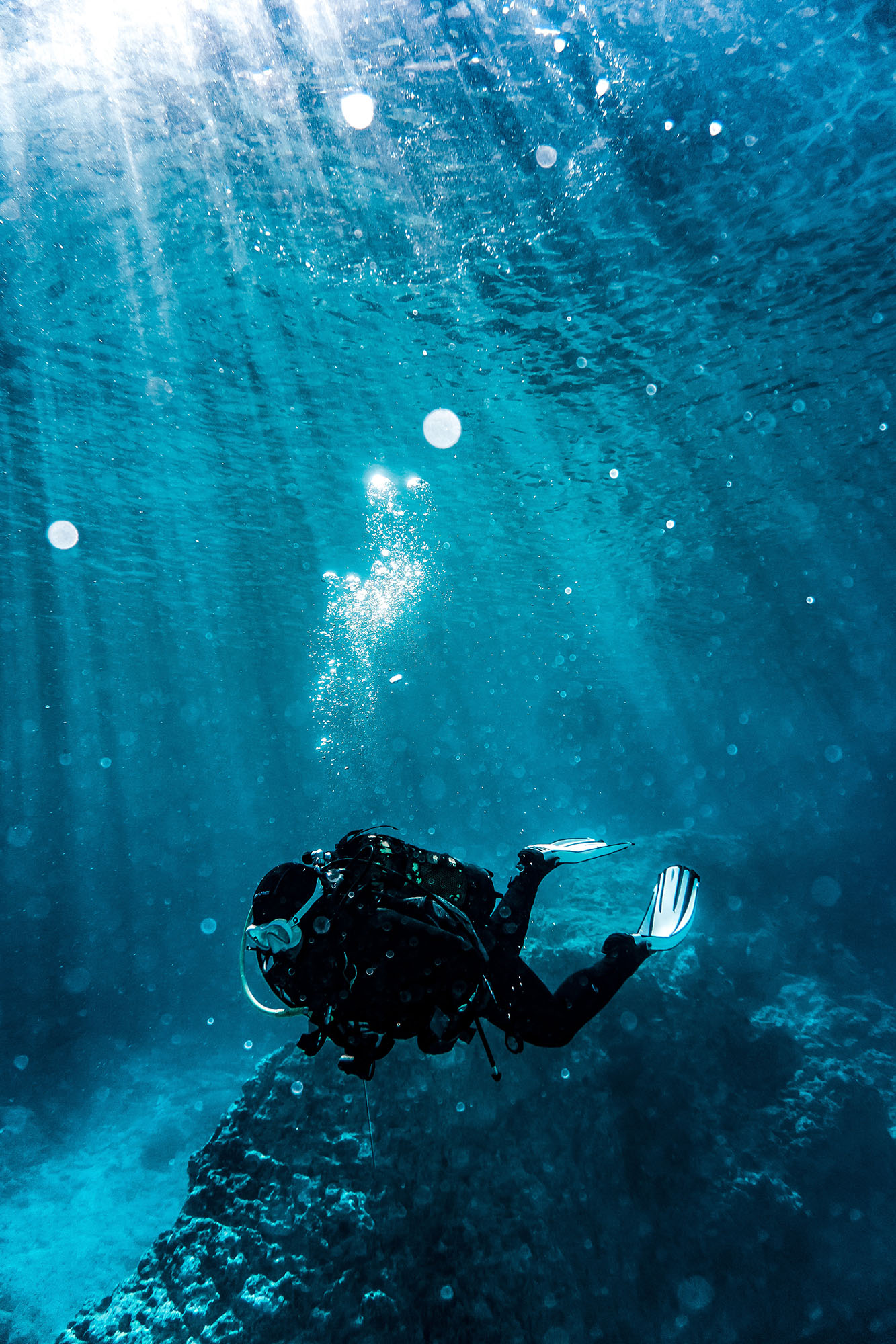 Scuba diver diving near coral with sunlight shinning through