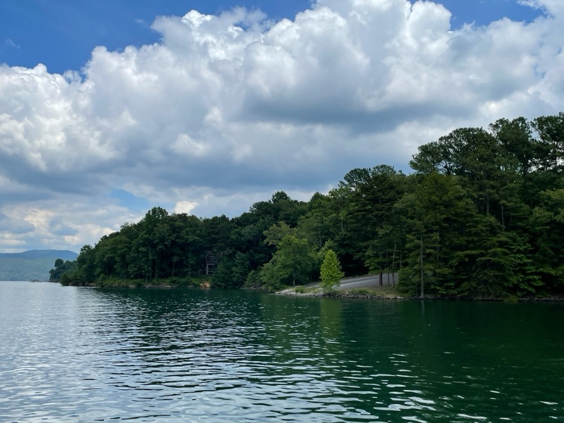 Lake shore surrounded by trees